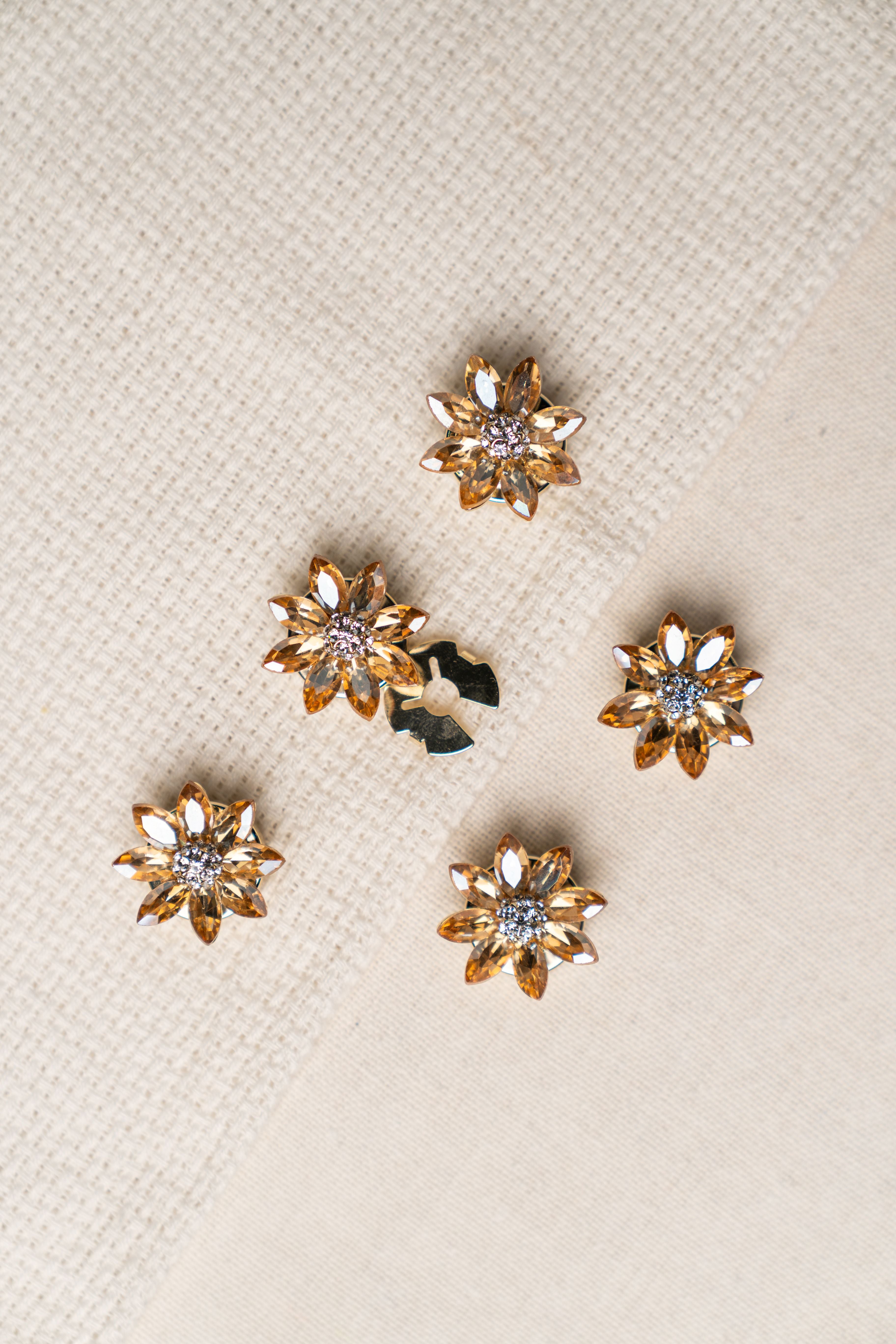 Daisy- Pastel Daisy Motif for Cheerful Touch